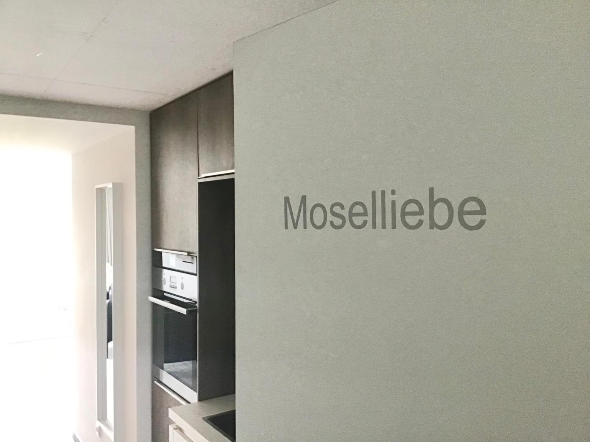 乌尔齐希Mosel Palais公寓 客房 照片
